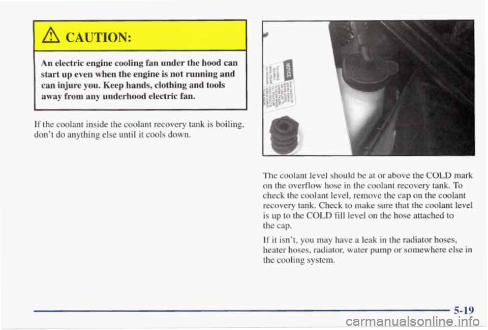 PONTIAC GRAND PRIX 1998 Owners Manual ’ A CAUTION:
An electric engine cooling fan under the hood can
start up even when the engine is not running and
can injure you. Keep hands, clothing and tools
away
from an PONTIAC GRAND PRIX 1998 Owners Manual ’ A CAUTION:
An electric engine cooling fan under the hood can
start up even when the engine is not running and
can injure you. Keep hands, clothing and tools
away
from an