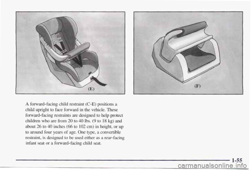 PONTIAC GRAND PRIX 1998 Repair Manual A forward-facing child restraint (C-E) positions a
child upright to face forward in the vehicle. These
forward-facing restraints are designed to help
protect
children who are from 2 PONTIAC GRAND PRIX 1998 Repair Manual A forward-facing child restraint (C-E) positions a
child upright to face forward in the vehicle. These
forward-facing restraints are designed to help
protect
children who are from 2