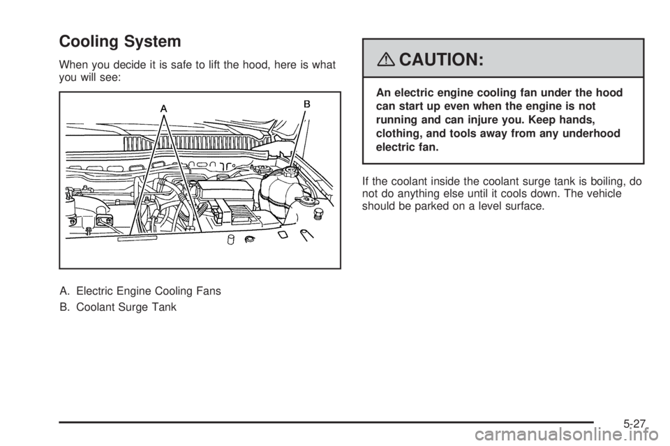 PONTIAC TORRENT 2008 Owners Manual Cooling System
When you decide it is safe to lift the hood, here is what
you will see:
A. Electric Engine Cooling Fans
B. Coolant Surge Tank{CAUTION:
An electric engine cooling fan under the hood
can PONTIAC TORRENT 2008 Owners Manual Cooling System
When you decide it is safe to lift the hood, here is what
you will see:
A. Electric Engine Cooling Fans
B. Coolant Surge Tank{CAUTION:
An electric engine cooling fan under the hood
can