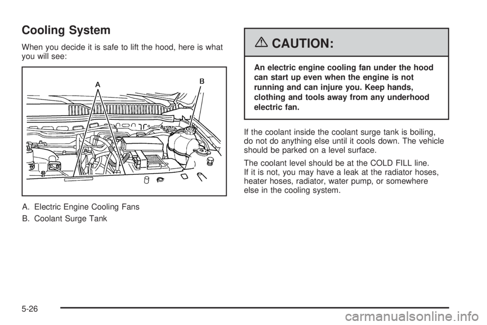 PONTIAC TORRENT 2006 Owners Manual Cooling System
When you decide it is safe to lift the hood, here is what
you will see:
A. Electric Engine Cooling Fans
B. Coolant Surge Tank{CAUTION:
An electric engine cooling fan under the hood
can PONTIAC TORRENT 2006 Owners Manual Cooling System
When you decide it is safe to lift the hood, here is what
you will see:
A. Electric Engine Cooling Fans
B. Coolant Surge Tank{CAUTION:
An electric engine cooling fan under the hood
can