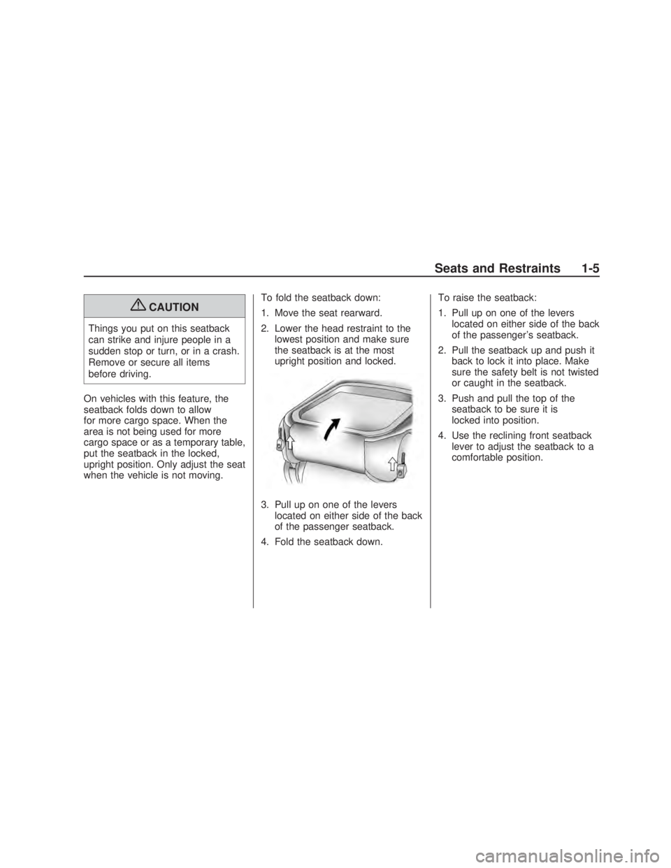 PONTIAC VIBE 2009  Owners Manual {CAUTION
Things you put on this seatback
can strike and injure people in a
sudden stop or turn, or in a crash.
Remove or secure all items
before driving.
On vehicles with this feature, the
seatback fo