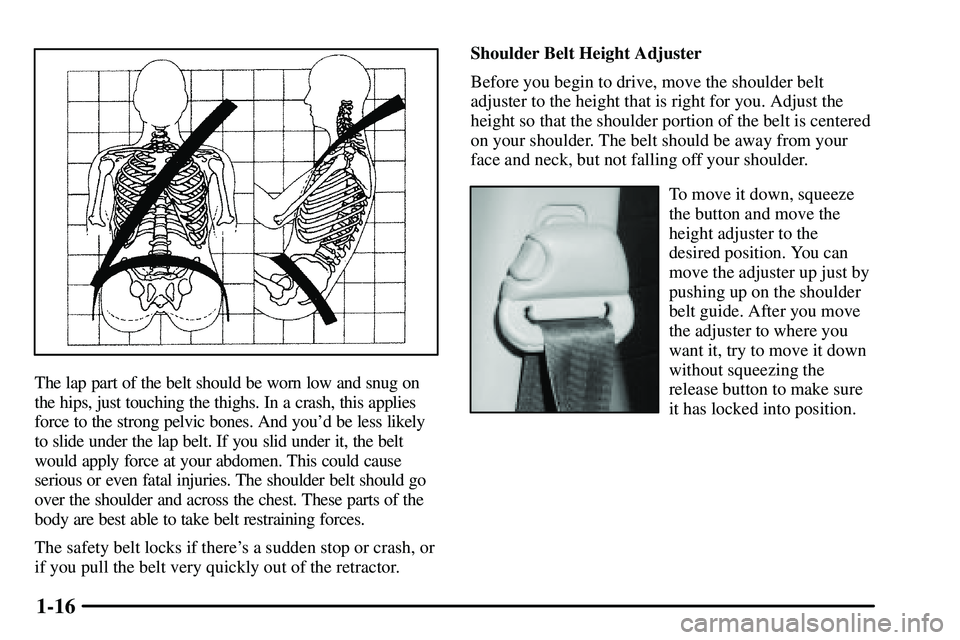 PONTIAC VIBE 2003 Owners Manual 1-16
The lap part of the belt should be worn low and snug on
the hips, just touching the thighs. In a crash, this applies
force to the strong pelvic bones. And youd be less likely
to slide under the PONTIAC VIBE 2003 Owners Manual 1-16
The lap part of the belt should be worn low and snug on
the hips, just touching the thighs. In a crash, this applies
force to the strong pelvic bones. And youd be less likely
to slide under the