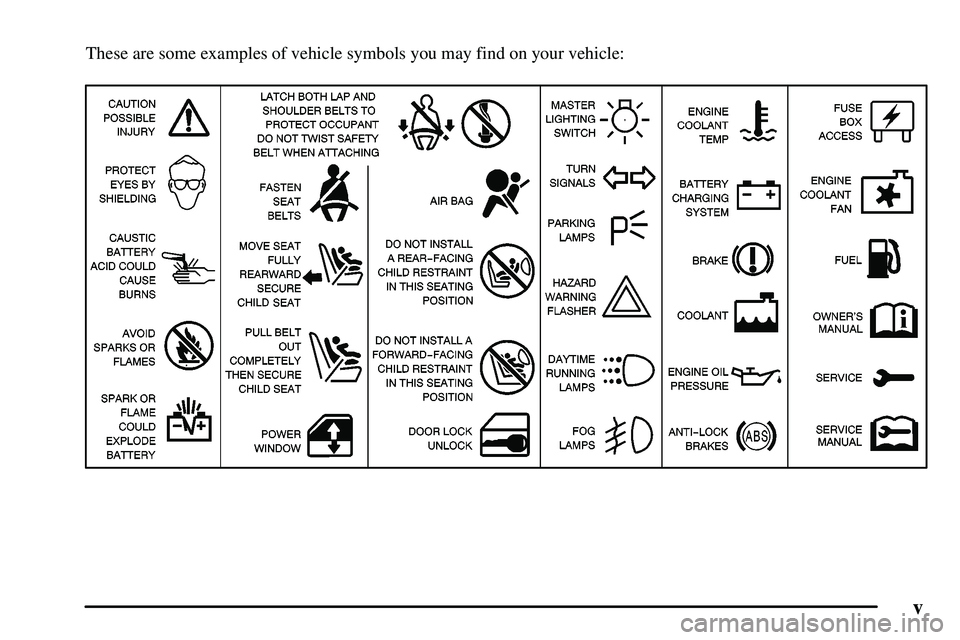 PONTIAC VIBE 2003  Owners Manual v
These are some examples of vehicle symbols you may find on your vehicle: 