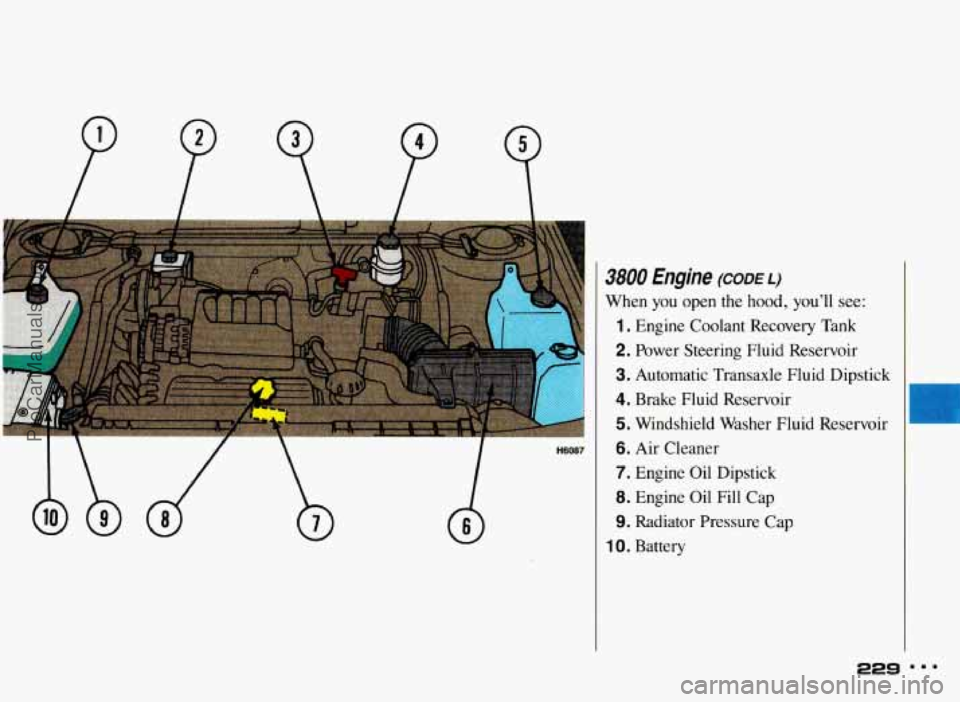 PONTIAC BONNEVILLE 1993 Owners Manual 3800 Engine (CODE L)
When you open the hood, you’ll see:
1. Engine Coolant Recovery Tank
2. Power Steering Fluid Reservoir
3. Automatic Transaxle Fluid Dipstick
4. Brake Fluid Reservo PONTIAC BONNEVILLE 1993 Owners Manual 3800 Engine (CODE L)
When you open the hood, you’ll see:
1. Engine Coolant Recovery Tank
2. Power Steering Fluid Reservoir
3. Automatic Transaxle Fluid Dipstick
4. Brake Fluid Reservo