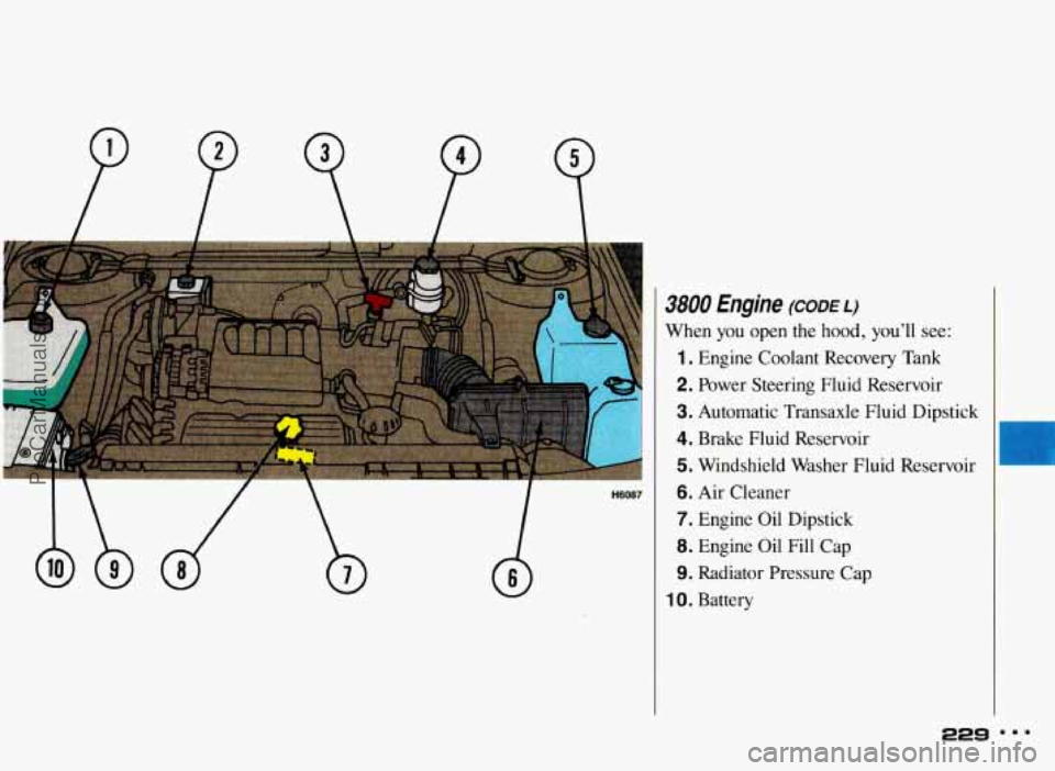 PONTIAC BONNEVILLE 1993  Owners Manual 3800 Engine (CODE L) 
When you open  the hood,  you’ll see: 
1. Engine  Coolant  Recovery  Tank 
2. Power  Steering  Fluid Reservoir 
3. Automatic  Transaxle Fluid Dipstick 
4. Brake  Fluid  Reservo