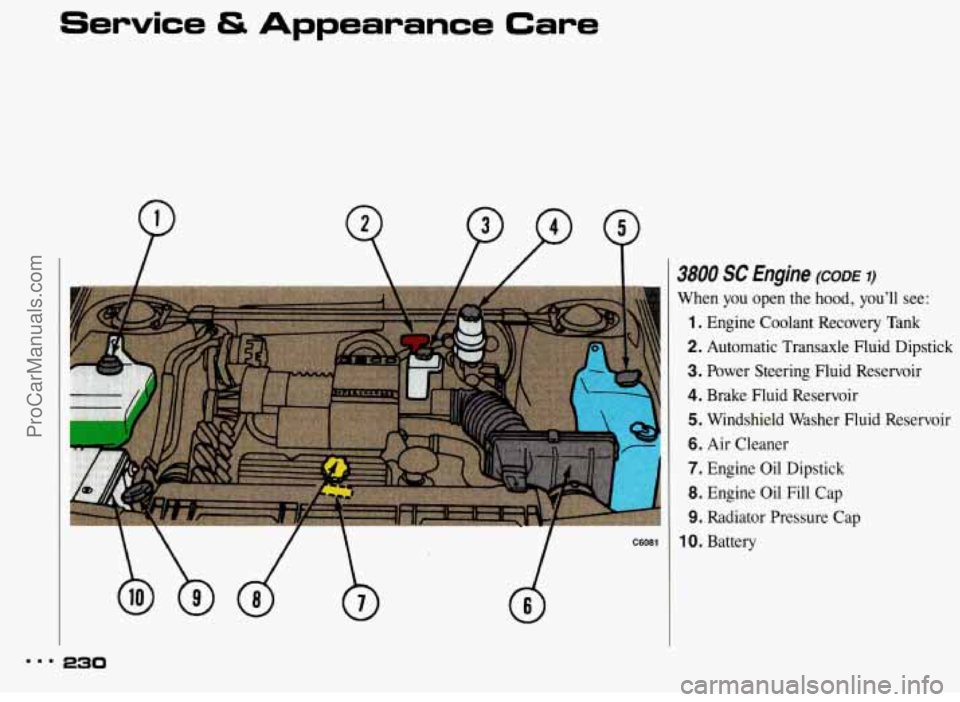 PONTIAC BONNEVILLE 1993  Owners Manual Service & Appearance Care 
. ... .. . 3800 SC Engine (CODE I) 
When you  open  the  hood,  youll  see: 
1. Engine  Coolant  Recovery  Tank 
2. Automatic  Transaxle  Fluid  Dipstick 
3. Power  Steerin