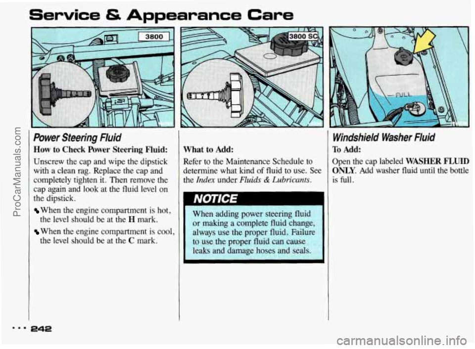 PONTIAC BONNEVILLE 1993 Owners Manual Service & Appearance Care
Power Steering Fluid
How to Check Power Steering Fluid:
Unscrew the cap and wipe the dipstick
with a clean rag. Replace
the cap and
completely tighten i PONTIAC BONNEVILLE 1993 Owners Manual Service & Appearance Care
Power Steering Fluid
How to Check Power Steering Fluid:
Unscrew the cap and wipe the dipstick
with a clean rag. Replace
the cap and
completely tighten i