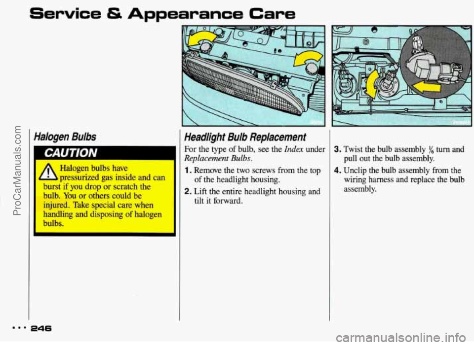 PONTIAC BONNEVILLE 1993  Owners Manual Service & Appearance Care 
Halogen  Bulbs 
L Halogen  bulbs  have 
l pressurized  gas  inside  and can 
if  you  drop or scratch  the 
bulb. You or others  could  be 
 jured. Take  special care when 