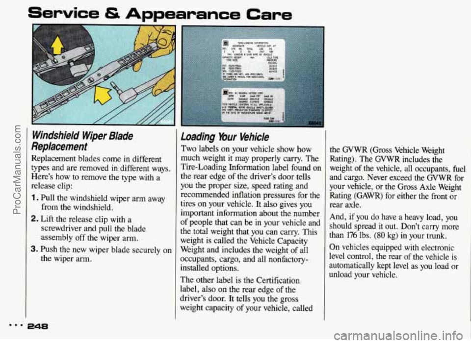 PONTIAC BONNEVILLE 1993 Owners Manual Service & Appearance Care
Windshield Wiper Blade
Replacement
Replacement blades come in different
types and are removed
in different ways.
Here’s how to remove the type with a
rel PONTIAC BONNEVILLE 1993 Owners Manual Service & Appearance Care
Windshield Wiper Blade
Replacement
Replacement blades come in different
types and are removed
in different ways.
Here’s how to remove the type with a
rel