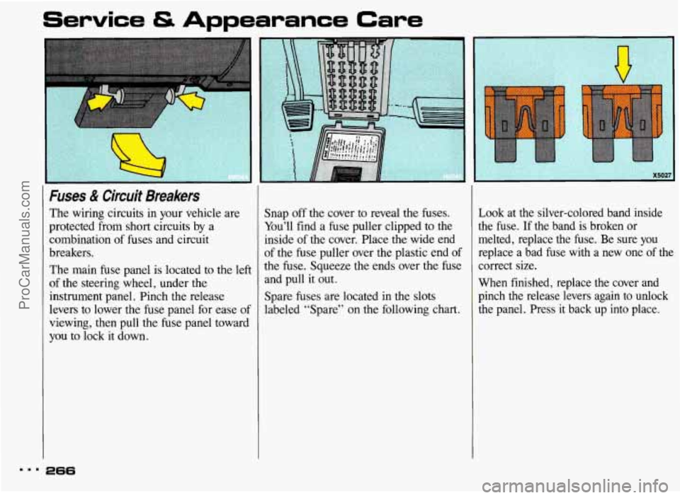 PONTIAC BONNEVILLE 1993  Owners Manual Service & Appearance Care 
Fuses & Circuit  Breakers 
The wiring  circuits  in  your  vehicle  are 
protected  from  short circuits by a 
combination 
of fuses  and  circuit 
breakers. 
The  main  fus