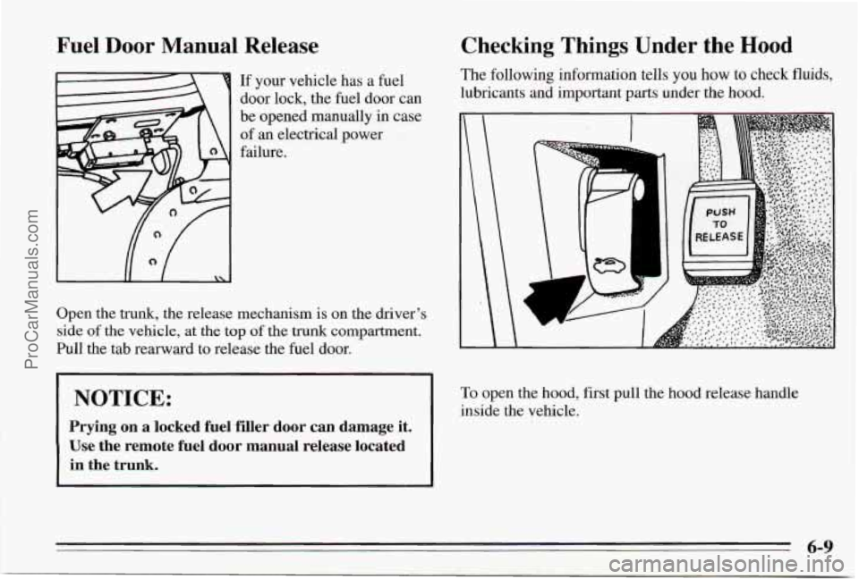PONTIAC BONNEVILLE 1995 Owners Manual Fuel Door NIanual Release
If your vehicle has a fuel
door lock, the fuel door can
be opened manually in case
of
an electrical power
failure.
Open the trunk, the release mechanism is PONTIAC BONNEVILLE 1995 Owners Manual Fuel Door NIanual Release
If your vehicle has a fuel
door lock, the fuel door can
be opened manually in case
of
an electrical power
failure.
Open the trunk, the release mechanism is