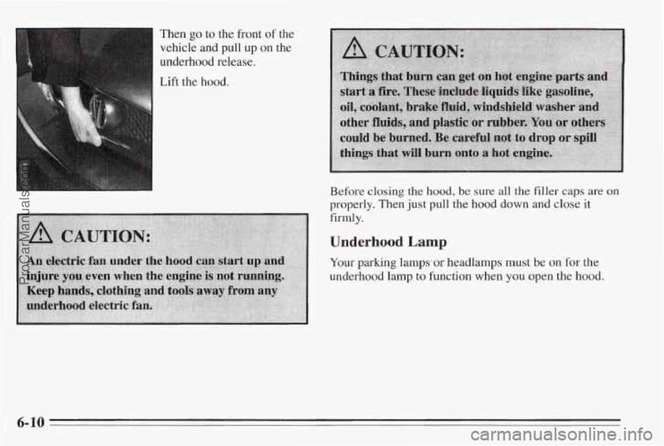 PONTIAC BONNEVILLE 1995 Owners Manual Then go to the front of the
vehicle and pull up on the
underhood release.
Lift the hood.
Before closing the hood, be sure dl the filler caps are on
properly. Then just pull the hood down a PONTIAC BONNEVILLE 1995 Owners Manual Then go to the front of the
vehicle and pull up on the
underhood release.
Lift the hood.
Before closing the hood, be sure dl the filler caps are on
properly. Then just pull the hood down a