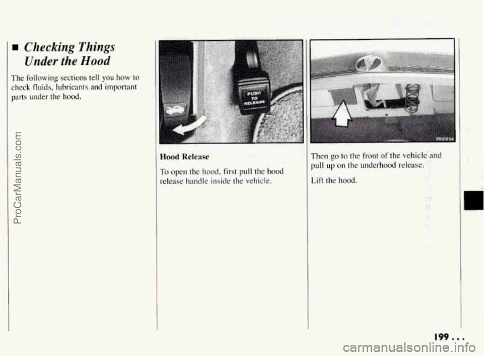 PONTIAC BONNEVILLE 1994 Owners Manual rn Checking Things
Under the Hood
The following sections tell you how to
check fluids, lubricants and important
parts under the hood.
Hood Release
To open the hood, first pull the hood
PONTIAC BONNEVILLE 1994 Owners Manual rn Checking Things
Under the Hood
The following sections tell you how to
check fluids, lubricants and important
parts under the hood.
Hood Release
To open the hood, first pull the hood