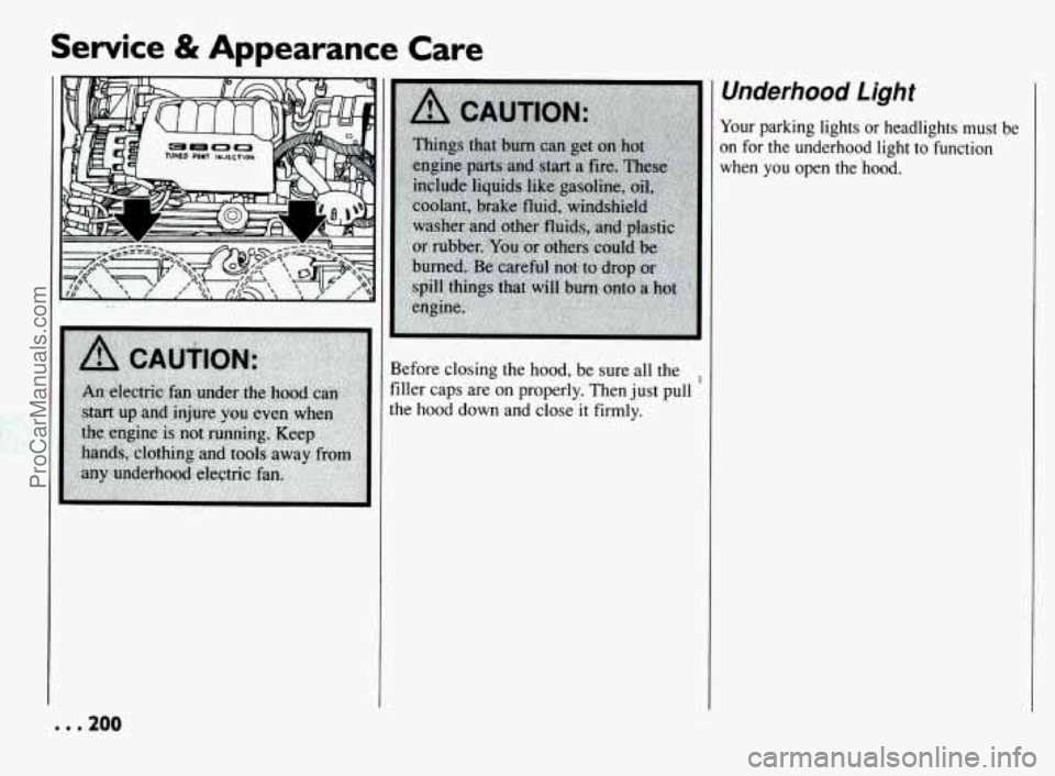 PONTIAC BONNEVILLE 1994  Owners Manual Service & Appearance Care 
Before closing  the hood, be  sure all the 
filler caps  are  on properly.  Then  just  pull 
the  hood  down  and  close 
it firmly. 
Underhood Light 
Your  parking lights 