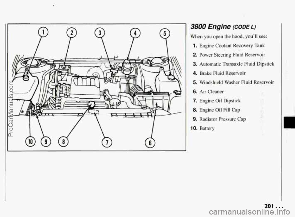 PONTIAC BONNEVILLE 1994  Owners Manual 3800 Engine (CODE L) 
When  you  open  the  hood,  youll see: 
1. Engine  Coolant  Recovery Tank 
2. Power  Steering  Fluid  Reservoir 
3. Automatic  Transaxle  Fluid  Dipstick 
4. Brake  Fluid  Rese