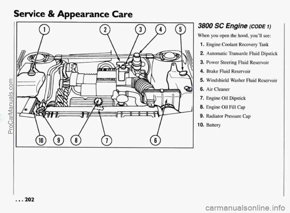 PONTIAC BONNEVILLE 1994  Owners Manual Service & Appearance  Care 
. 0 202 
3800 SC Engine (CODE I) 
When  you open the hood,  you’ll  see: 
1. Engine Coolant  Recovery Tank 
2. Automatic  Transaxle  Fluid  Dipstick 
3. Power Steering  F