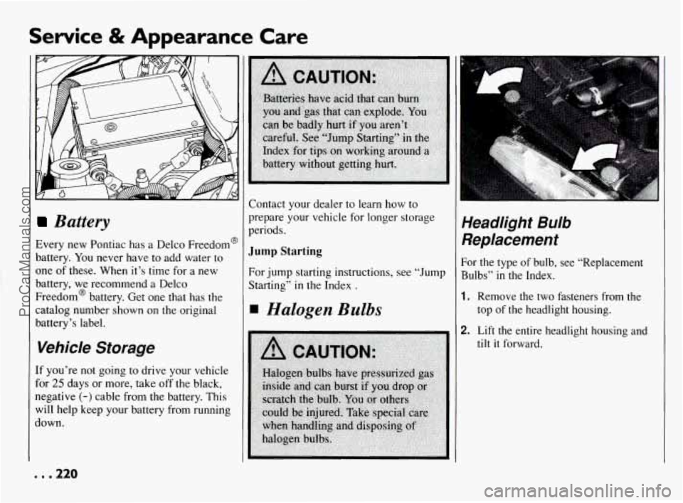 PONTIAC BONNEVILLE 1994  Owners Manual Service & Appearance  Care 
Battery 
Every new Pontiac has  a Delco  Freedom@ 
battery.  You never have  to add  water  to 
one  of these.  When  it’s  time for a new 
battery,  we recommend  a Delc