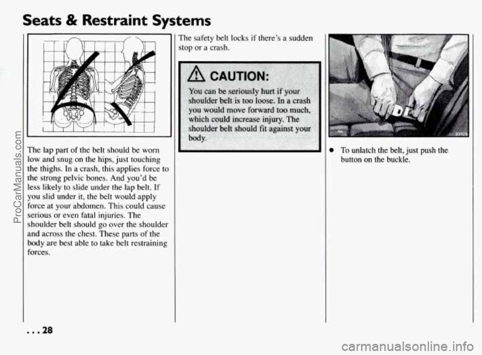 PONTIAC BONNEVILLE 1994 Owners Manual Seats & Restraint Systems
~ ~~
The lap part of the belt should be worn
low and snug on the hips, just touching
the thighs. In a crash, this applies force
to
the strong pelvic bones. PONTIAC BONNEVILLE 1994 Owners Manual Seats & Restraint Systems
~ ~~
The lap part of the belt should be worn
low and snug on the hips, just touching
the thighs. In a crash, this applies force
to
the strong pelvic bones.