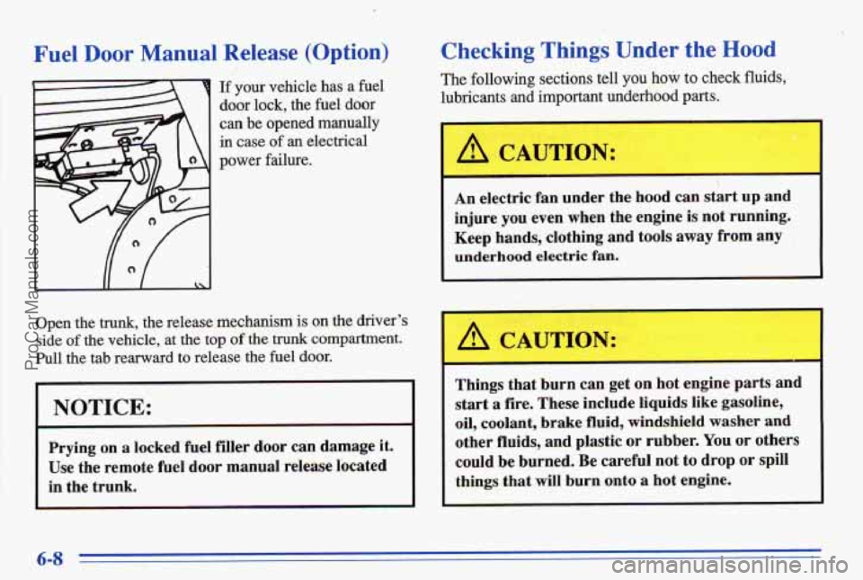 PONTIAC BONNEVILLE 1996  Owners Manual Fuel Door Manual Release  (‘Option) 
L 
If your  vehicle  has  a  fuel 
door  lock,  the fuel  door 
can be  opened  manually 
in case of an electrical 
power 
failure. 
Y 
Open  the trunk, the  rel