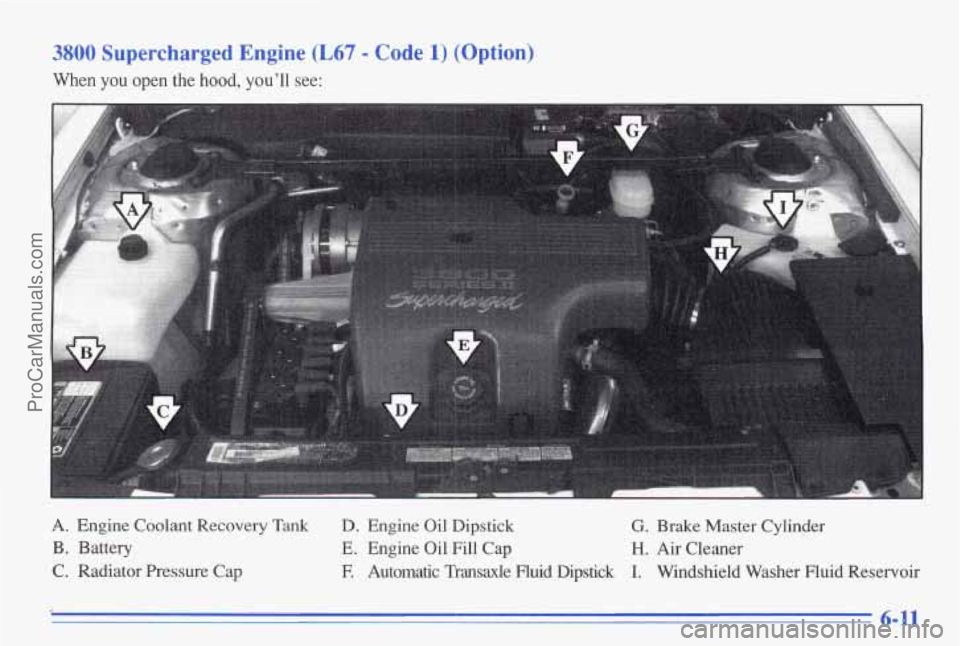 PONTIAC BONNEVILLE 1996  Owners Manual 3800 Supercharged  Engine (L67 - Code 1) (Option) 
When you open the hood, ~01111 see: 
A. Engine  Coolant  Recovery  Tank D. Engine Oil Dipstick G. Brake  Master  Cylinder 
B. Battery 
E. Engine  Oi