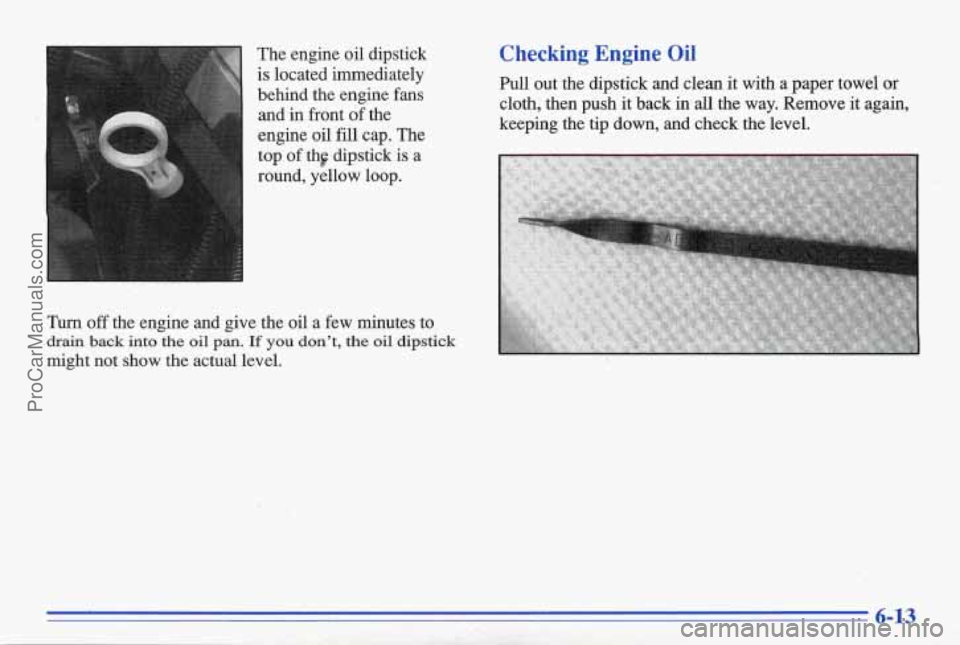 PONTIAC BONNEVILLE 1996  Owners Manual The engine  oil  dipstick 
is located  immediately 
behind  the  engine 
fans 
and  in  front  of  the 
engine  oil 
fill cap.  The 
top 
of the  dipstick  is  a 
round,  yellow  loop. 
Turn 
off the 