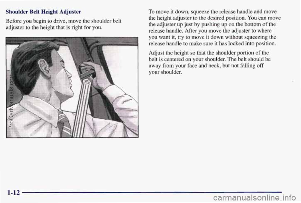 PONTIAC BONNEVILLE 1997 User Guide Shoulder Belt Height Adjuster
Before you begin to drive, move the shoulder belt
adjuster to the height that
is right for you. To
move it down, squeeze the release handle and move
the height PONTIAC BONNEVILLE 1997 User Guide Shoulder Belt Height Adjuster
Before you begin to drive, move the shoulder belt
adjuster to the height that
is right for you. To
move it down, squeeze the release handle and move
the height
