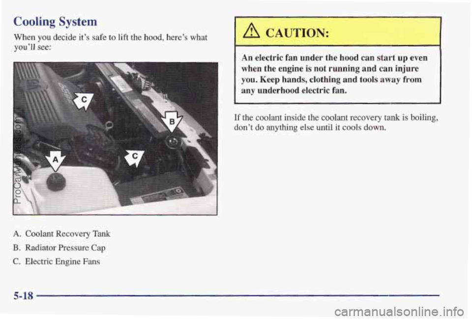 PONTIAC BONNEVILLE 1997  Owners Manual Cooling System 
you’ll see: 
When you decide  it’s safe to lift  the  hood,  here’s  what 
A. Coolant  Recovery Tank 
E. Radiator  Pressure Cap 
C. Electric  Engine Fans 
1 
’ A CAUTION: 
r 
A