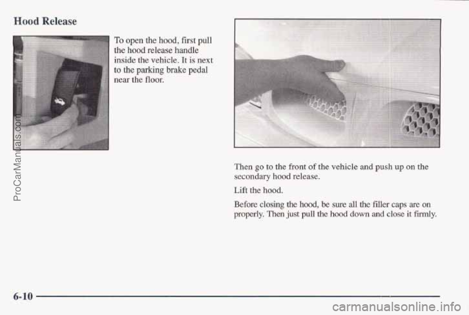 PONTIAC BONNEVILLE 1997 Owners Manual Hood Release
To open the hood, first pull
the hood release handle
inside the vehicle. It is next
to
the parking brake pedal
near the flour.
Then go to the front of the vehicle and push up o PONTIAC BONNEVILLE 1997 Owners Manual Hood Release
To open the hood, first pull
the hood release handle
inside the vehicle. It is next
to
the parking brake pedal
near the flour.
Then go to the front of the vehicle and push up o
