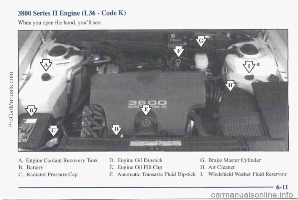 PONTIAC BONNEVILLE 1997 Owners Manual 3800 Series I1 Engine (L36 - Code K)
When you open the hood, you’ll see:
A. Engine Coolant Recovery Tank
B. Battery
C. Radiator Pressure Cap
D. Engine Oil Dipstick G. Brake Master Cylin PONTIAC BONNEVILLE 1997 Owners Manual 3800 Series I1 Engine (L36 - Code K)
When you open the hood, you’ll see:
A. Engine Coolant Recovery Tank
B. Battery
C. Radiator Pressure Cap
D. Engine Oil Dipstick G. Brake Master Cylin