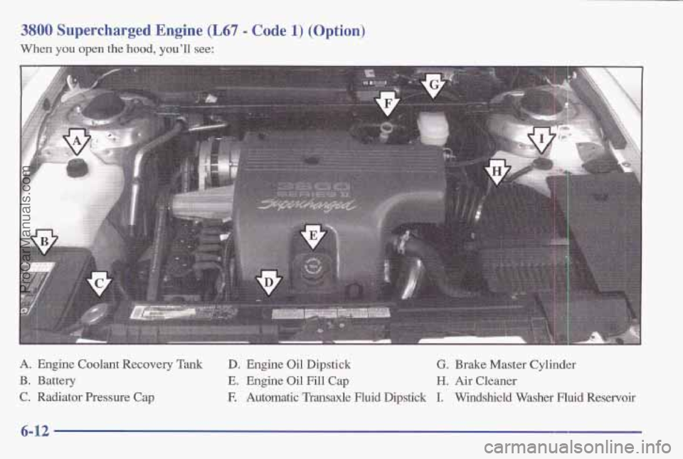 PONTIAC BONNEVILLE 1997 Owners Manual 3800 Supercharged Engine (L67 - Code 1) (Option)
When you open the hood, youll see:
A. Engine Coolant Recovery Tank D. Engine Oil Dipstick G. Brake Master Cylinder
B. Battery
E. Engine Oil Fi PONTIAC BONNEVILLE 1997 Owners Manual 3800 Supercharged Engine (L67 - Code 1) (Option)
When you open the hood, youll see:
A. Engine Coolant Recovery Tank D. Engine Oil Dipstick G. Brake Master Cylinder
B. Battery
E. Engine Oil Fi