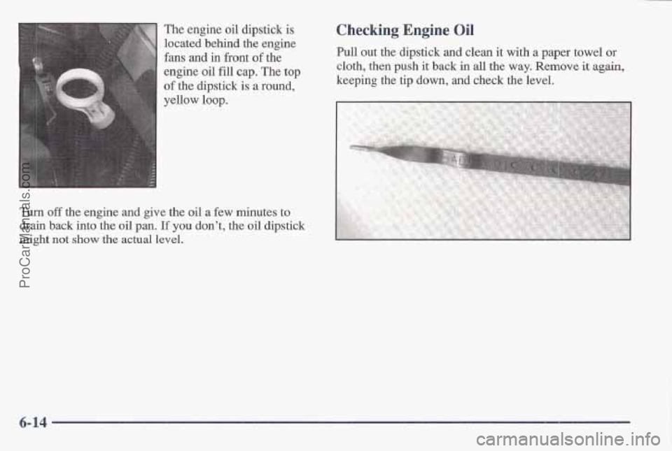 PONTIAC BONNEVILLE 1997 Owners Manual The engine oil dipstick is
located behind the engine
fans and in front
of the
engine
oil fill cap. The top
of the dipstick is-a round,-
yellow loop.
Turn off the engine and give the PONTIAC BONNEVILLE 1997 Owners Manual The engine oil dipstick is
located behind the engine
fans and in front
of the
engine
oil fill cap. The top
of the dipstick is-a round,-
yellow loop.
Turn off the engine and give the