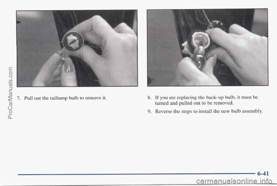 PONTIAC BONNEVILLE 1997 Owners Manual 7. Pull out the taillamp bulb to remove it.
i
8. If you are replacing the back-up bulb, it must be
turned and pulled out to be removed.
9. Reverse the steps to install the new bulb assembly. PONTIAC BONNEVILLE 1997 Owners Manual 7. Pull out the taillamp bulb to remove it.
i
8. If you are replacing the back-up bulb, it must be
turned and pulled out to be removed.
9. Reverse the steps to install the new bulb assembly.
