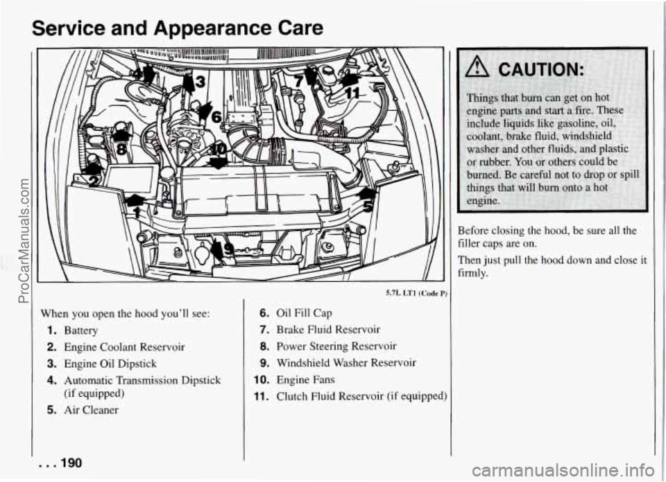 PONTIAC FIREBIRD 1994  Owners Manual Service  and  Appearance  Care 
5.7L LTl (Code 
When  you  open  the  hood youll  see: 
1. Battery 
2.  Engine  Coolant  Reservoir 
3. Engine  Oil  Dipstick 
4. Automatic  Transmission  Dipstick 
5. 