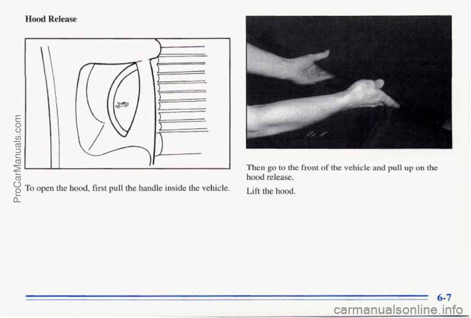 PONTIAC FIREBIRD 1996 Owners Manual Hood Release
To open the hood, first pull the handle inside the vehicle.
Then go to the front of the vehicle
hood release. Lift the hood.
and pull up on the
. ._ 6-7
ProCarManuals.com PONTIAC FIREBIRD 1996 Owners Manual Hood Release
To open the hood, first pull the handle inside the vehicle.
Then go to the front of the vehicle
hood release. Lift the hood.
and pull up on the
. ._ 6-7
ProCarManuals.com