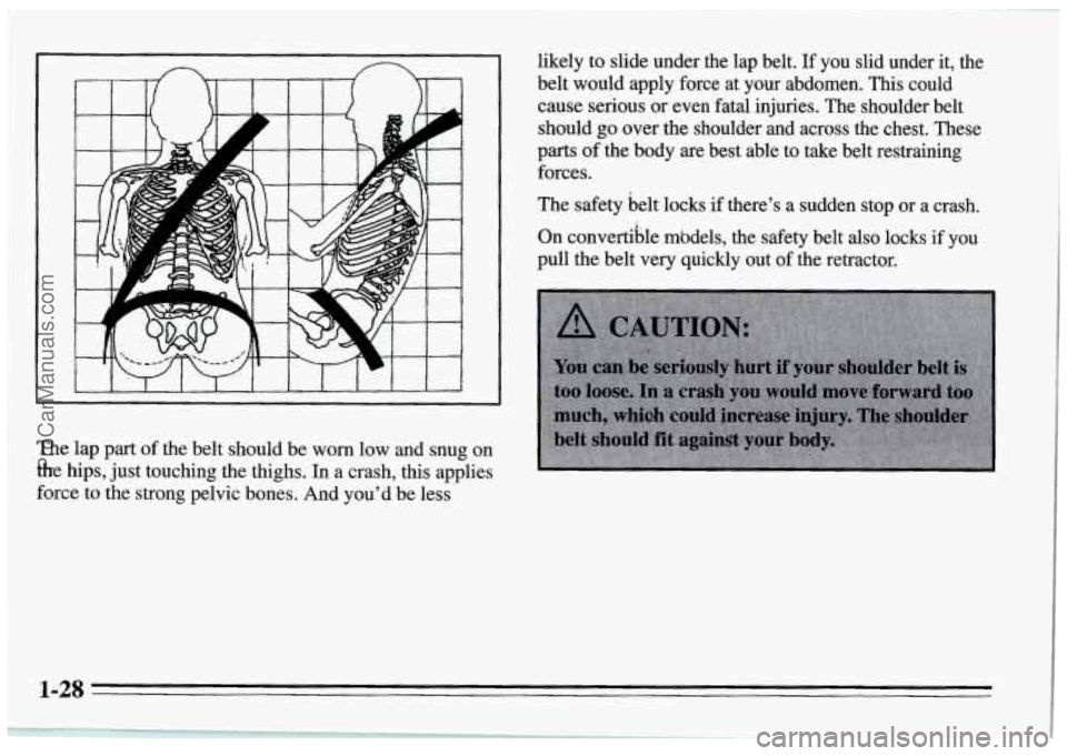 PONTIAC FIREBIRD 1995 Owners Guide The lap part of the belt should be worn low and snug on
the hips, just touching the thighs. In a crash, this applies
force to the strong pelvic bones. And you’d be less
likely PONTIAC FIREBIRD 1995 Owners Guide The lap part of the belt should be worn low and snug on
the hips, just touching the thighs. In a crash, this applies
force to the strong pelvic bones. And you’d be less
likely