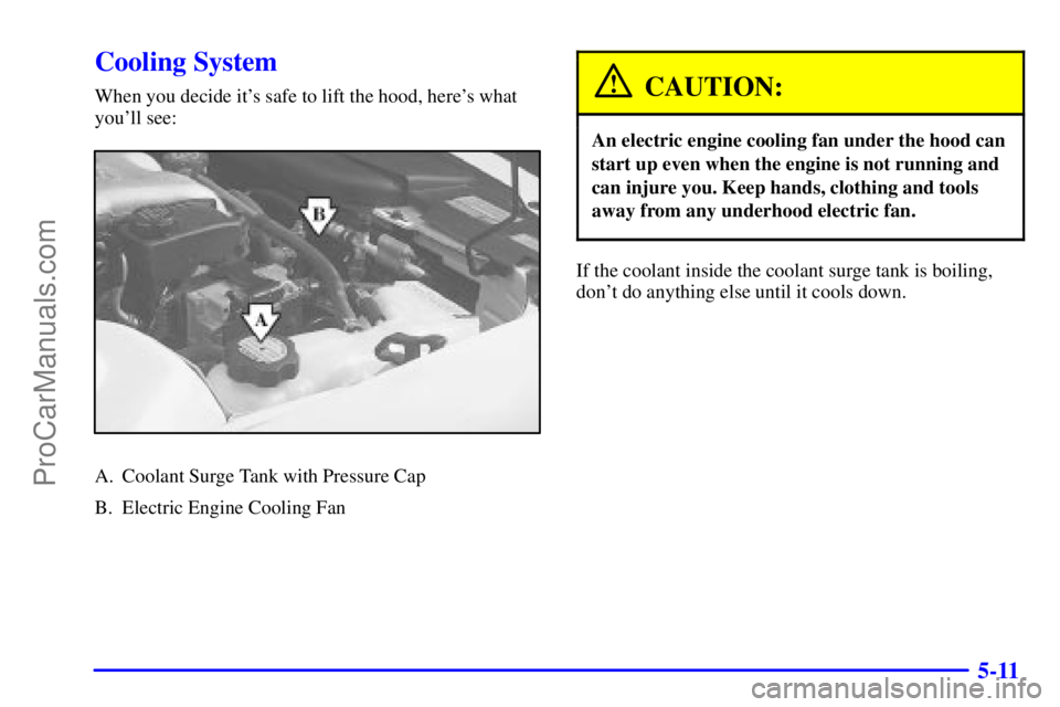 PONTIAC GRAND-AM 2000  Owners Manual 5-11
Cooling System
When you decide its safe to lift the hood, heres what
youll see:
A. Coolant Surge Tank with Pressure Cap
B. Electric Engine Cooling Fan
CAUTION:
An electric engine cooling fan u