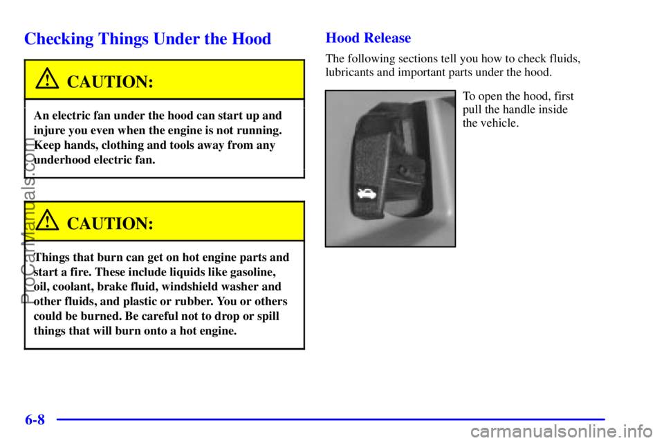 PONTIAC GRAND-AM 2000  Owners Manual 6-8
Checking Things Under the Hood
CAUTION:
An electric fan under the hood can start up and
injure you even when the engine is not running.
Keep hands, clothing and tools away from any
underhood elect