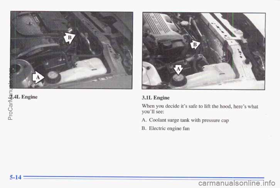 PONTIAC GRAND-AM 1996 Owners Manual c
a
2.4L Engine 3.1L Engine
When you decide it’s safe to lift the hood, here’s what
you’ll see:
A, Coolant surge tank with pressure cap
B. Electric engine fan
I
5-14
ProCarManuals.co PONTIAC GRAND-AM 1996 Owners Manual c
a
2.4L Engine 3.1L Engine
When you decide it’s safe to lift the hood, here’s what
you’ll see:
A, Coolant surge tank with pressure cap
B. Electric engine fan
I
5-14
ProCarManuals.co