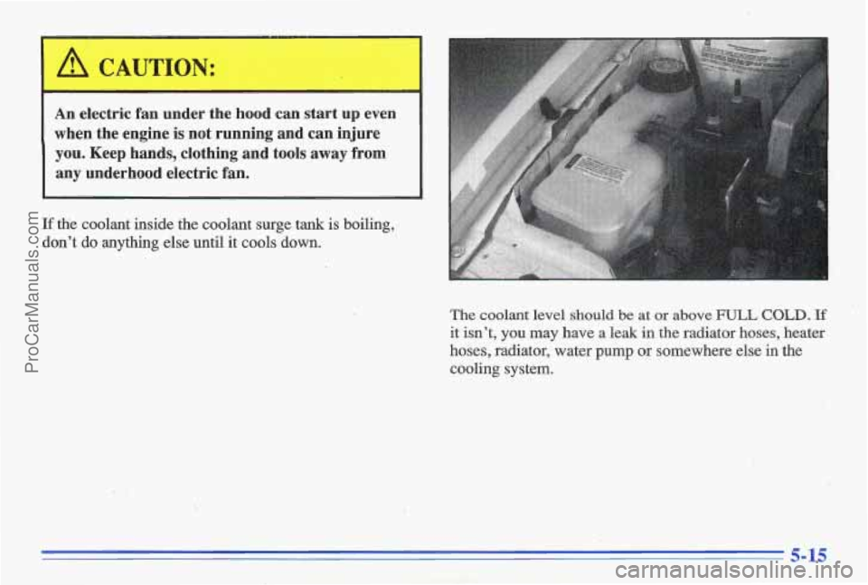 PONTIAC GRAND-AM 1996 Owners Manual A CAUTION:
An electric fan under the hood can start up even
when the engine is not running and can injure
you. Keep hands, clothing and tools away from
any underhood electric PONTIAC GRAND-AM 1996 Owners Manual A CAUTION:
An electric fan under the hood can start up even
when the engine is not running and can injure
you. Keep hands, clothing and tools away from
any underhood electric