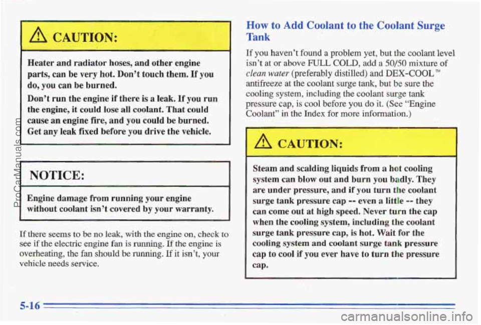 PONTIAC GRAND-AM 1996 Owners Manual 6!!l CAUTION:
~~~ ~
Heater and radiator hoses, and other engine
parts, can be very hot. Don’t touch them.
If you
do, you can be. burned.
Donst run the engine
if there is a leak. If PONTIAC GRAND-AM 1996 Owners Manual 6!!l CAUTION:
~~~ ~
Heater and radiator hoses, and other engine
parts, can be very hot. Don’t touch them.
If you
do, you can be. burned.
Donst run the engine
if there is a leak. If