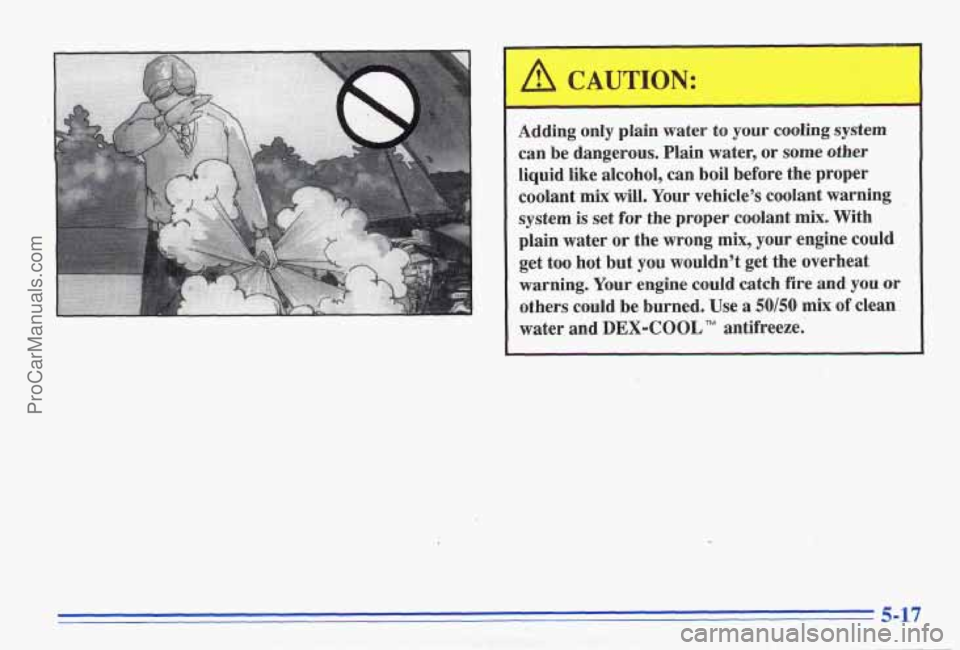 PONTIAC GRAND-AM 1996 Owners Manual Adding only plain water to your cooling system
can be dangerous. Plain water, or
some other
liquid like alcohol, can boil before the proper
coolant
mix will. Your vehicles coolant PONTIAC GRAND-AM 1996 Owners Manual Adding only plain water to your cooling system
can be dangerous. Plain water, or
some other
liquid like alcohol, can boil before the proper
coolant
mix will. Your vehicles coolant