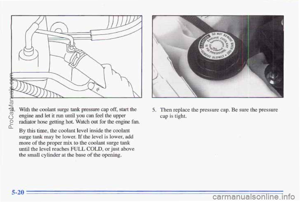 PONTIAC GRAND-AM 1996 Owners Manual 4. With the coolant surge tank pressure cap off, start the
engine and let it run until you can feel the upper
radiator hose
getting hot. Watch out for the engine fan,
By this time, the coo PONTIAC GRAND-AM 1996 Owners Manual 4. With the coolant surge tank pressure cap off, start the
engine and let it run until you can feel the upper
radiator hose
getting hot. Watch out for the engine fan,
By this time, the coo