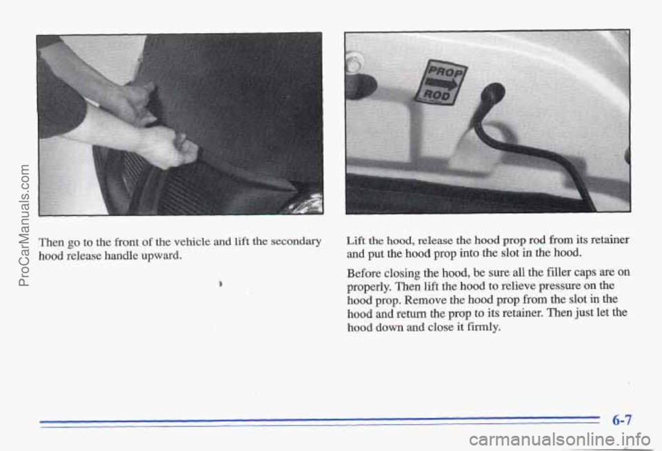 PONTIAC GRAND-AM 1996 Owners Manual Then go to the front of the vehicle and lift the secondary Lift the hood, release the hood prop rod from its retainer
hood release handle upward. and put the hood prop into the slot in t PONTIAC GRAND-AM 1996 Owners Manual Then go to the front of the vehicle and lift the secondary Lift the hood, release the hood prop rod from its retainer
hood release handle upward. and put the hood prop into the slot in t