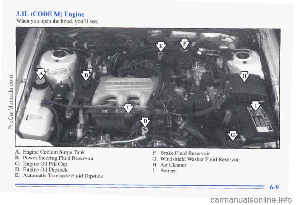 PONTIAC GRAND-AM 1996 Owners Manual 3.1L (CODE M) Engine
When you open the hood, ou’ll see:
A. Engine Coolant Surge Tank
B. Power Steering Fluid Reservoir
C. Engine Oil Fill Cap
D. Engine Oil Dipstick
E. Automatic Transaxl PONTIAC GRAND-AM 1996 Owners Manual 3.1L (CODE M) Engine
When you open the hood, ou’ll see:
A. Engine Coolant Surge Tank
B. Power Steering Fluid Reservoir
C. Engine Oil Fill Cap
D. Engine Oil Dipstick
E. Automatic Transaxl