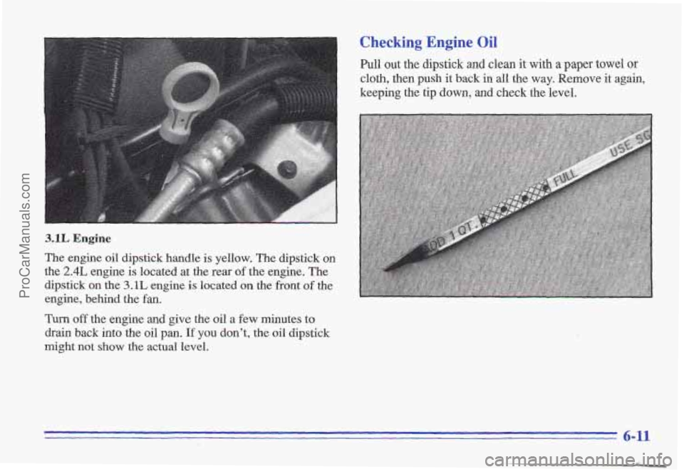 PONTIAC GRAND-AM 1996 Owners Manual 3.1L Engine
The engine oil dipstick handle is yellow. The dipstick on
the 2.4L engine is located at the rear of the engine. The
dipstick on
the 3.1L engine is located on the front of the
PONTIAC GRAND-AM 1996 Owners Manual 3.1L Engine
The engine oil dipstick handle is yellow. The dipstick on
the 2.4L engine is located at the rear of the engine. The
dipstick on
the 3.1L engine is located on the front of the