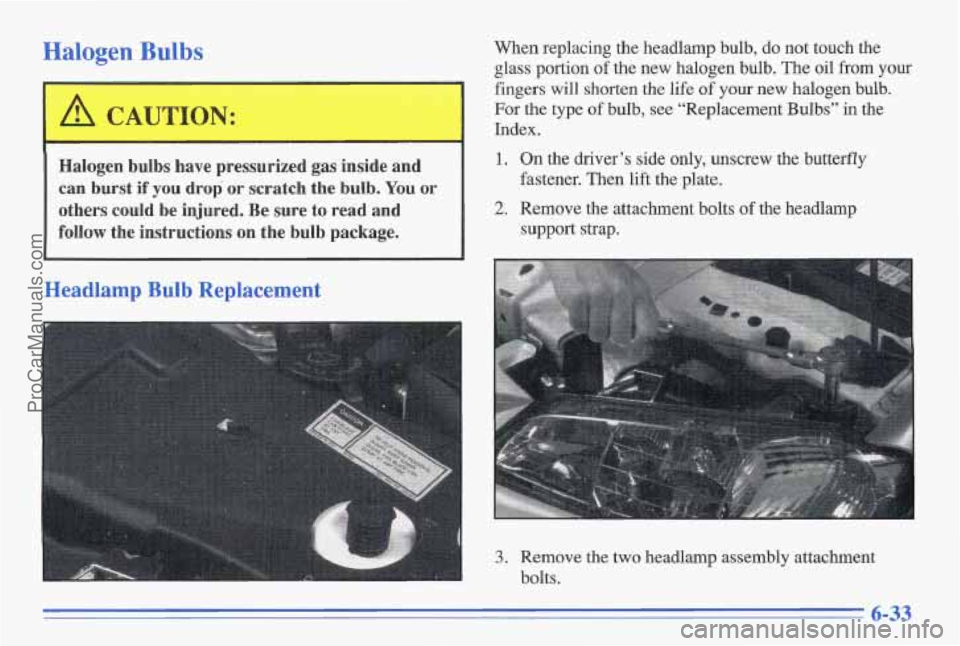 PONTIAC GRAND-AM 1996 Owners Manual Halogen Bulbs
’ I CAUTION:
I
Halogen bulbs have pressurized gas-inside and
can
burst if you drop or scratch the bulb. You or
others could be injured. Be sure to read and
follow th PONTIAC GRAND-AM 1996 Owners Manual Halogen Bulbs
’ I CAUTION:
I
Halogen bulbs have pressurized gas-inside and
can
burst if you drop or scratch the bulb. You or
others could be injured. Be sure to read and
follow th