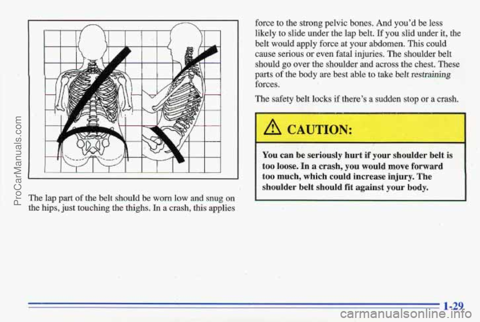 PONTIAC GRAND-AM 1996 Owners Guide The lap part of the belt should be worn low and snug on
the hips, just touching the thighs.
In a crash, this applies force
to the strong pelvic bones.
And you’d be less
li PONTIAC GRAND-AM 1996 Owners Guide The lap part of the belt should be worn low and snug on
the hips, just touching the thighs.
In a crash, this applies force
to the strong pelvic bones.
And you’d be less
li