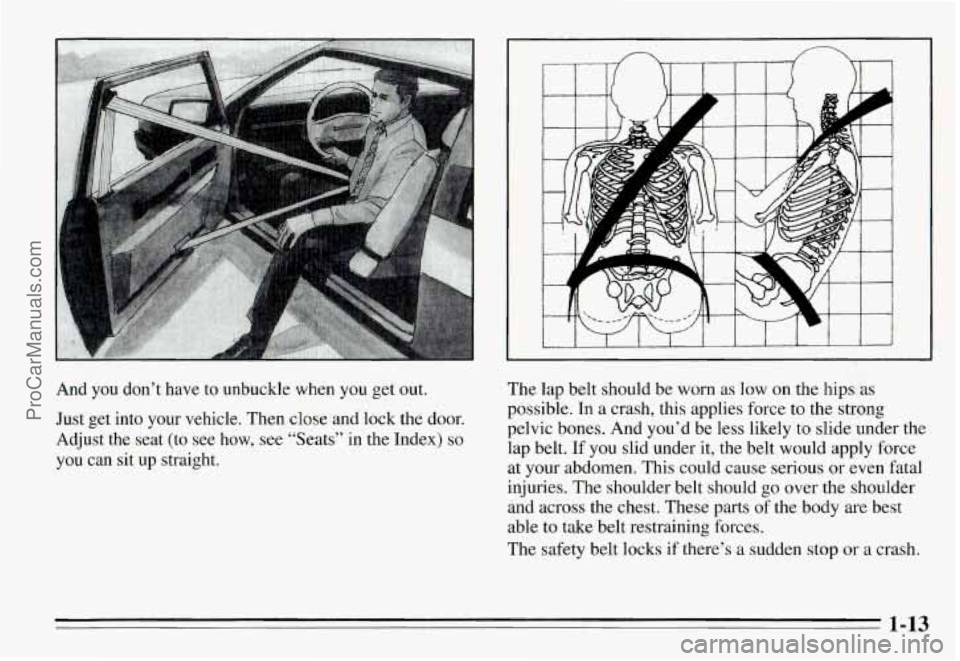 PONTIAC GRAND-AM 1995 User Guide And you don’t have to unbuckle when you get out.
Just get into your vehicle. Then close and lock the door.
Adjust the seat (to see how, see “Seats’’ in the Index) PONTIAC GRAND-AM 1995 User Guide And you don’t have to unbuckle when you get out.
Just get into your vehicle. Then close and lock the door.
Adjust the seat (to see how, see “Seats’’ in the Index)