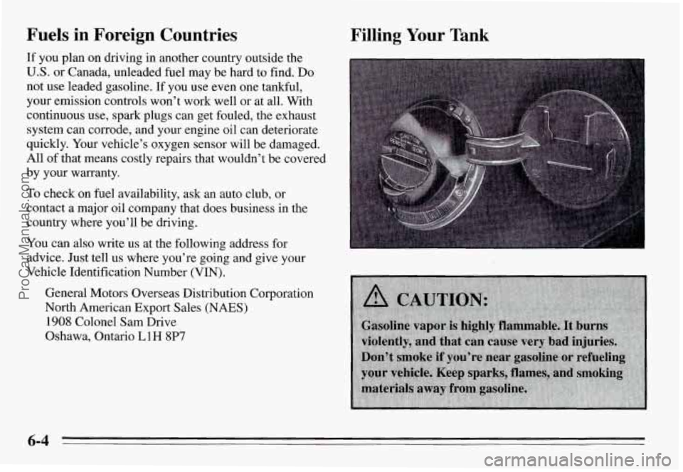 PONTIAC GRAND-AM 1995  Owners Manual Fuels in  Foreign  Countries 
If  you  plan on driving  in another  country  outside  the 
U.S. or Canada,  unleaded fuel may  be hard  to find. Do 
not use  leaded  gasoline.  If  you use  even  one 