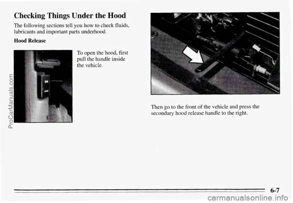 PONTIAC GRAND-AM 1995  Owners Manual Checking  Things  Under  the  Hood 
The  following  sections  tell you how to check fluids, 
lubricants  and  important 
parts underhood. 
Hood Release 
To open  the  hood,  first 
pull  the  handle  
